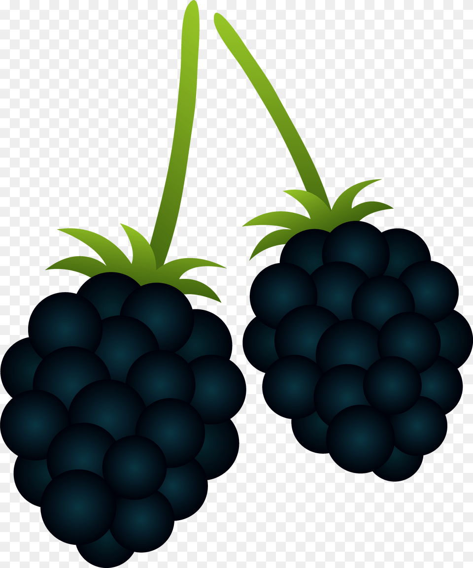 Blackberries Files Black Berries Clipart, Berry, Food, Fruit, Plant Png Image
