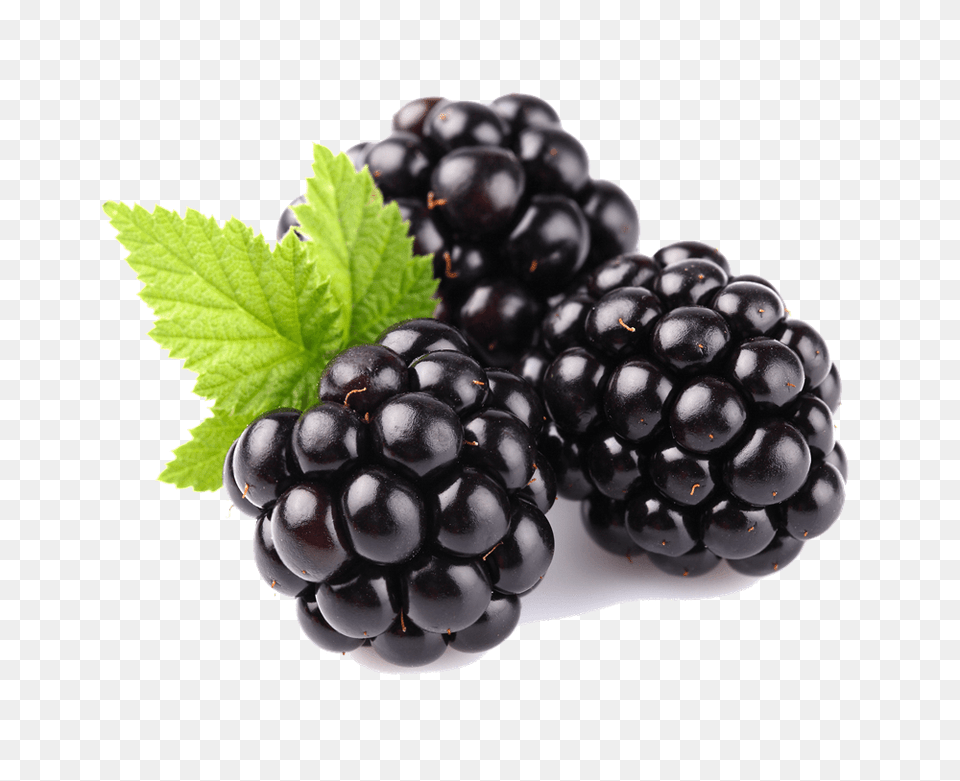 Blackberries Trio, Berry, Food, Fruit, Plant Png Image