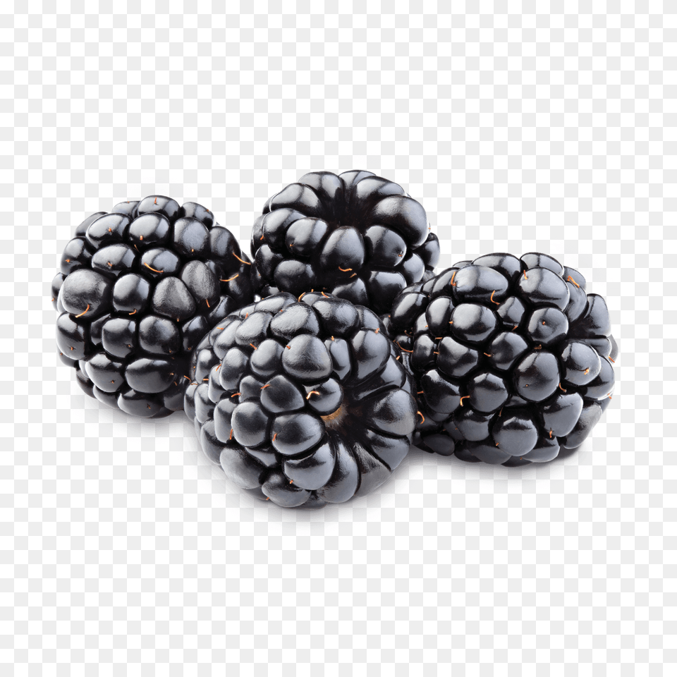 Blackberry, Berry, Food, Fruit, Plant Free Png Download