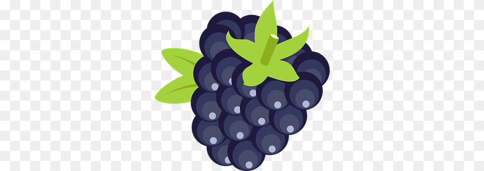 Blackberry Berry, Blueberry, Food, Fruit Free Transparent Png