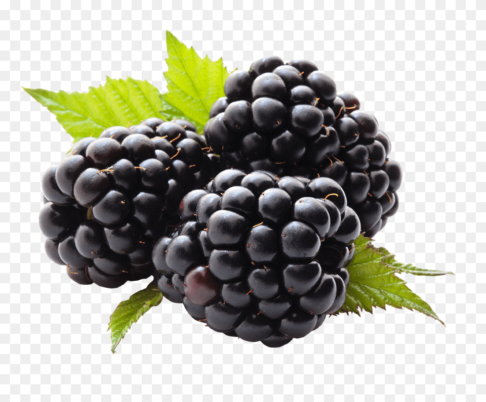 Blackberry, Berry, Food, Fruit, Plant Free Transparent Png