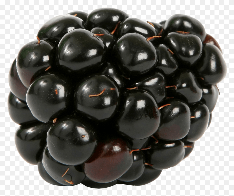 Blackberry, Berry, Food, Fruit, Plant Png Image