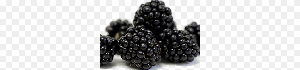 Blackberry, Berry, Food, Fruit, Plant Png