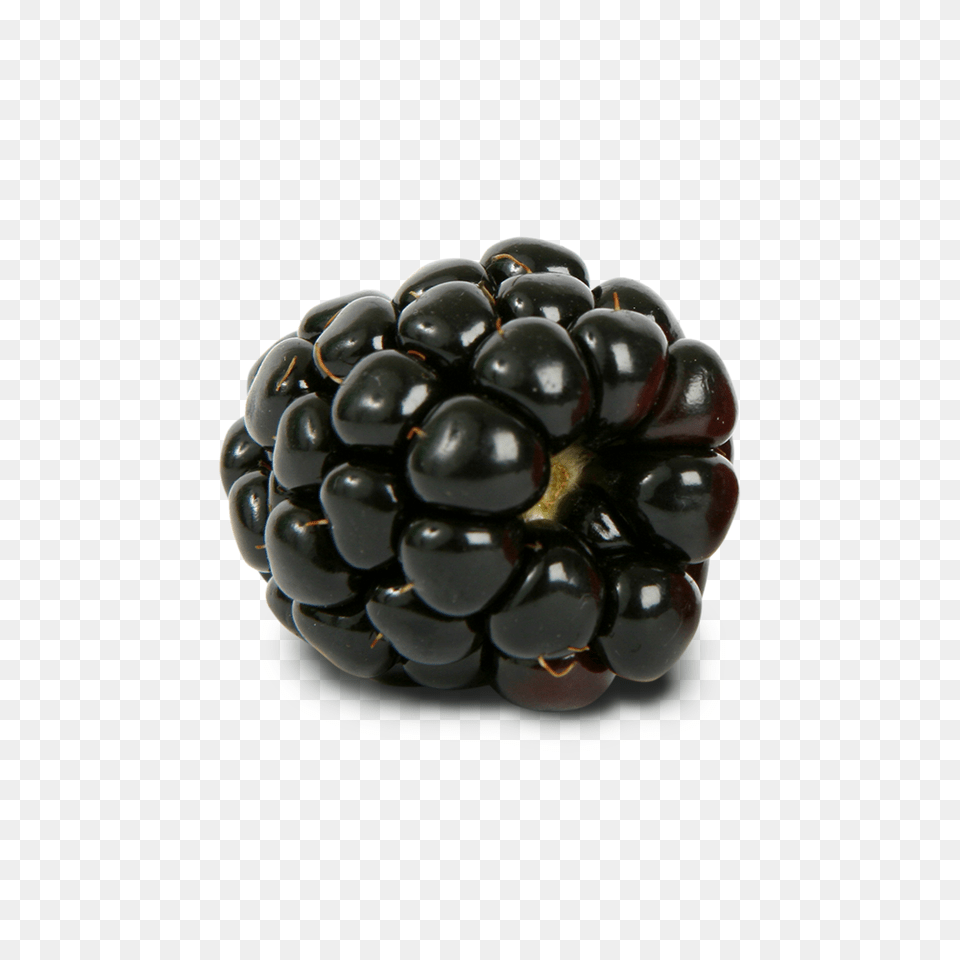 Blackberry, Berry, Food, Fruit, Plant Free Png