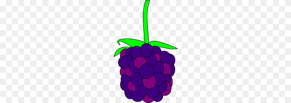 Blackberry Food, Fruit, Grapes, Plant Png Image