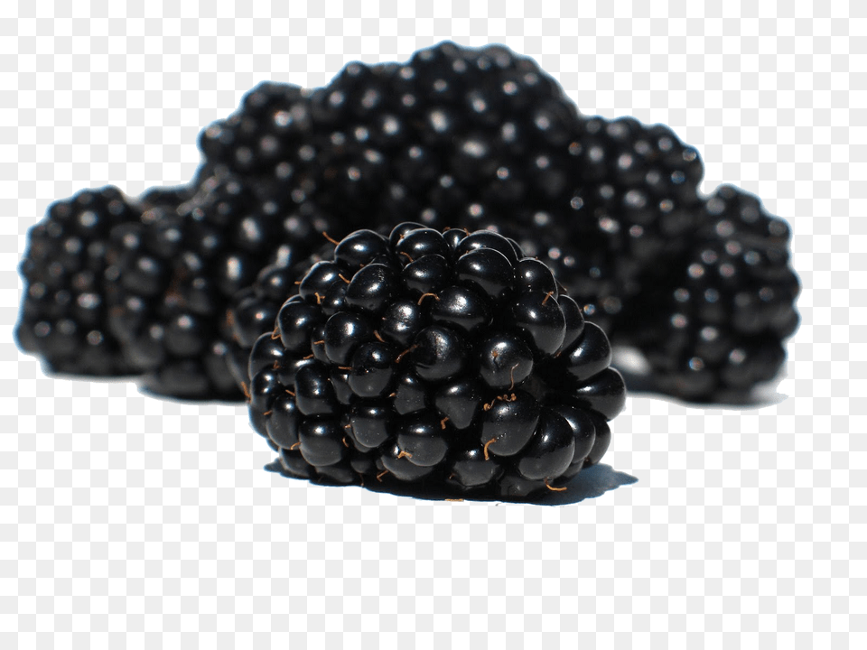 Blackberry, Produce, Plant, Fruit, Food Png Image