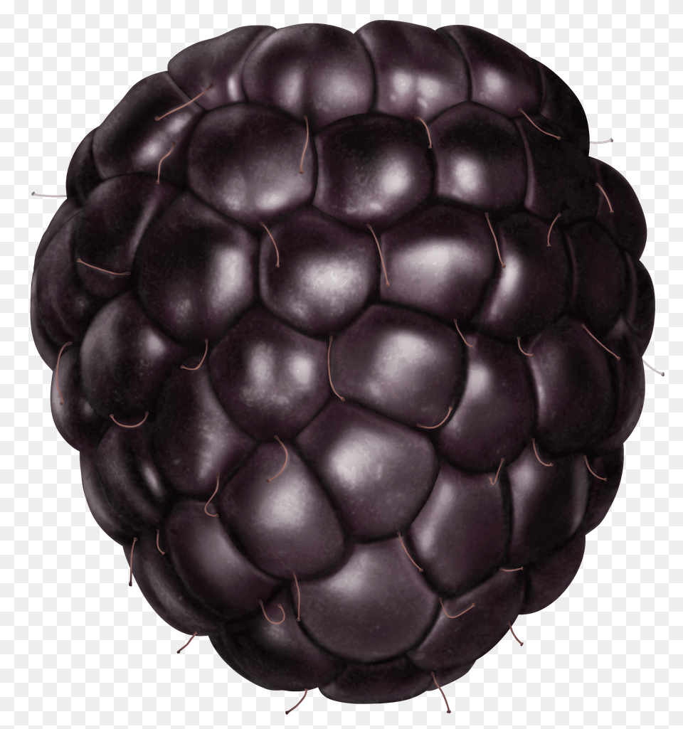 Blackberry Free Png