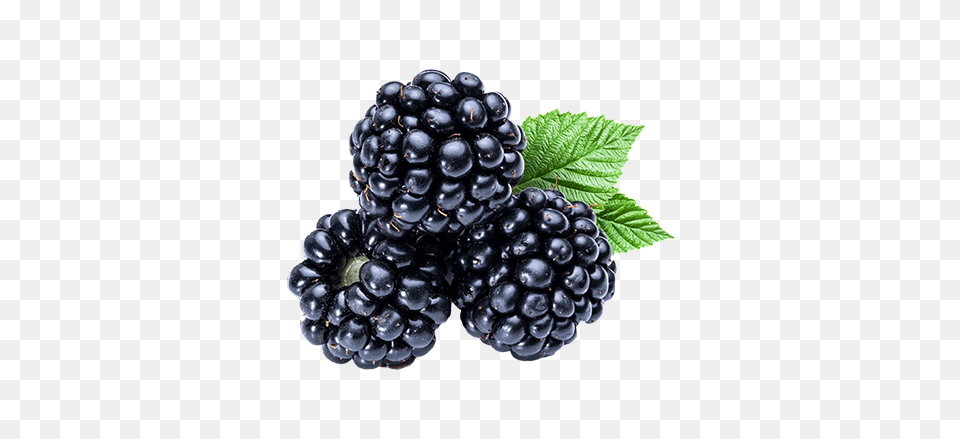 Blackberry, Berry, Food, Fruit, Plant Free Png