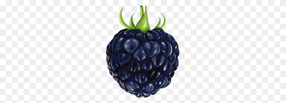 Blackberry, Berry, Food, Fruit, Plant Free Transparent Png