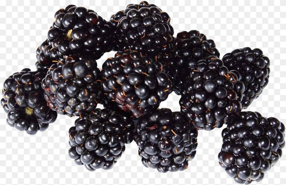 Blackberry Black Berry, Food, Fruit, Plant, Produce Free Png Download