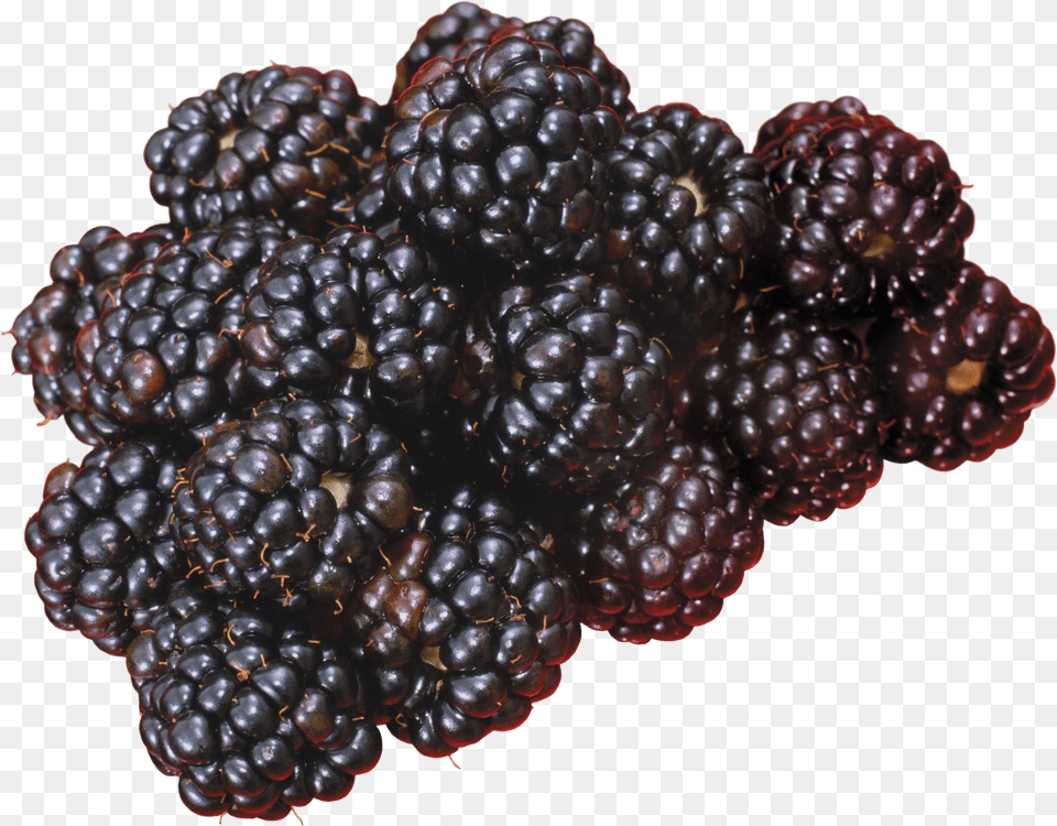 Blackberry Blackberries, Electronics, Screen, Aluminium Png