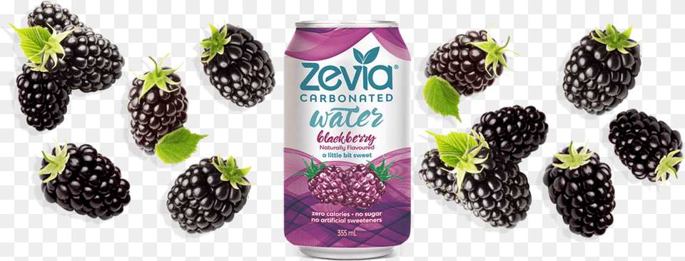 Blackberry Carbonated Water 355ml Zevia Blackberry Sparkling W A T E R 12 Oz Cans Pack, Berry, Food, Fruit, Plant Png