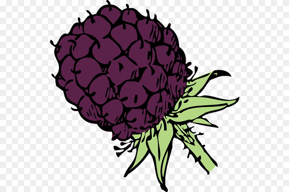 Blackberry Clip Art Blackberry Clip Art, Berry, Food, Fruit, Plant Free Png