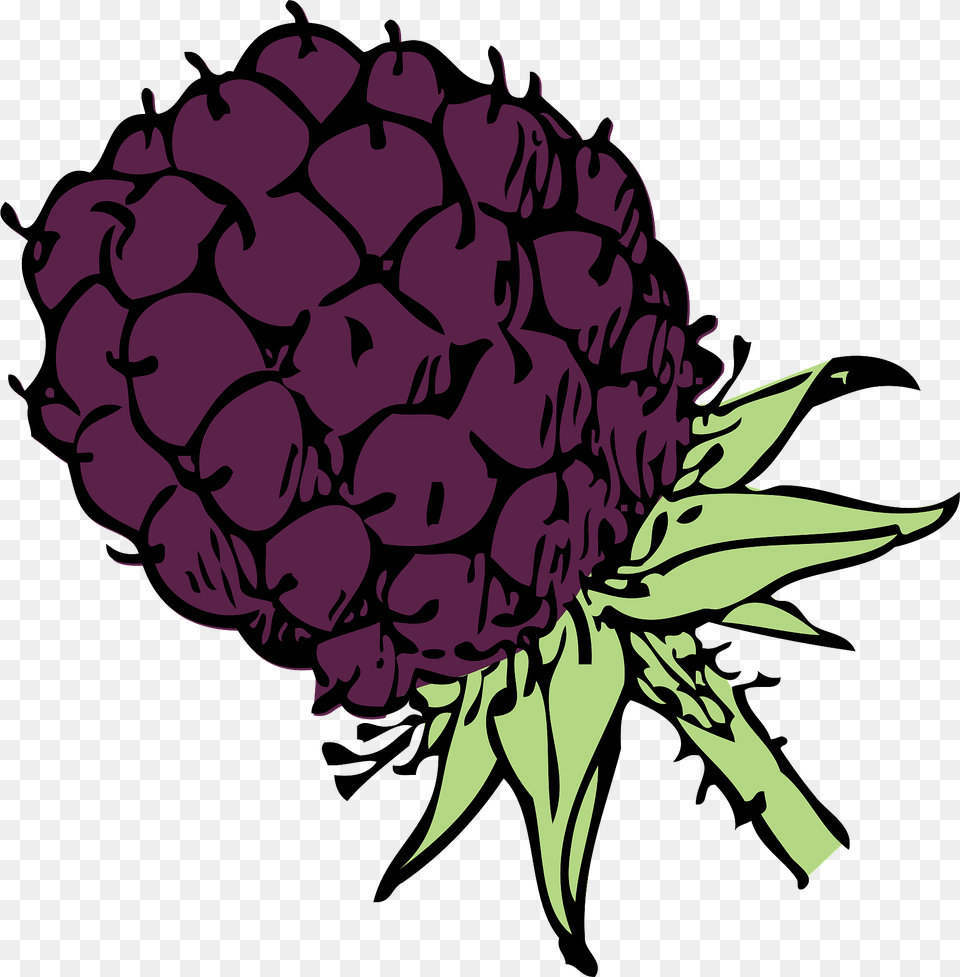 Blackberry Clipart, Berry, Food, Fruit, Plant Png Image