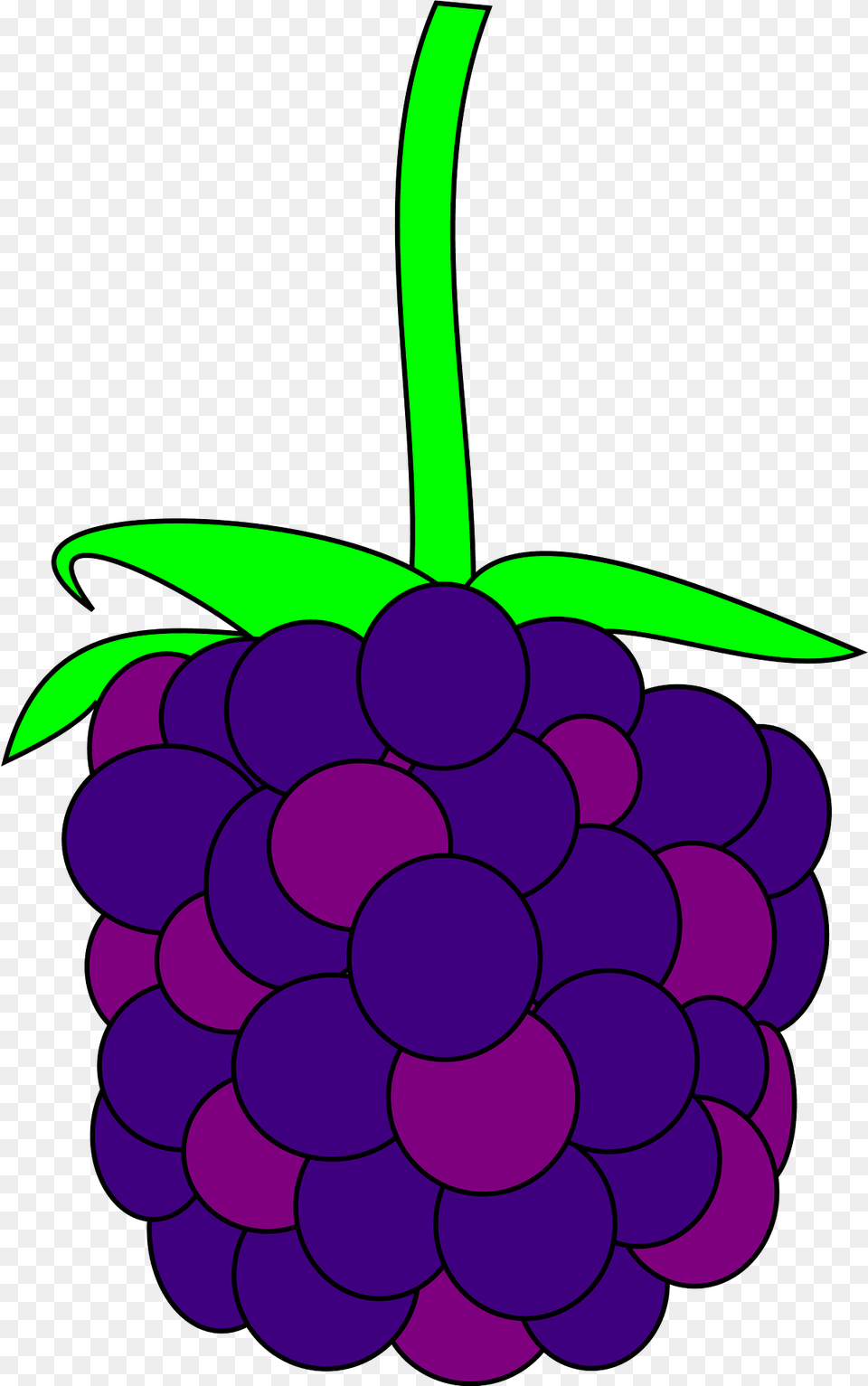 Blackberry Clipart, Food, Fruit, Grapes, Plant Png Image