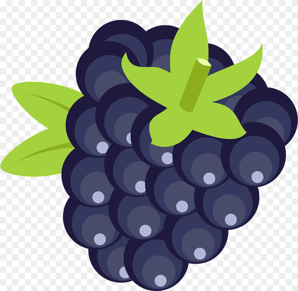 Blackberry Clipart, Grapes, Berry, Blueberry, Food Free Transparent Png