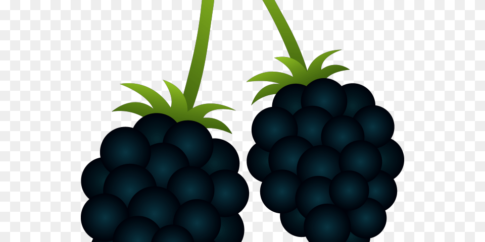 Blackberry Clipart Berry Plant Blackberry Clipart, Food, Fruit, Produce, Grapes Free Png Download