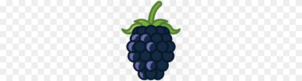 Blackberry Clipart Clipart, Berry, Food, Fruit, Plant Free Transparent Png