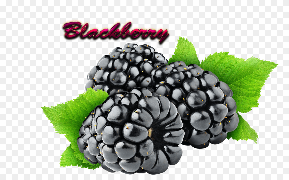 Blackberry Download, Berry, Food, Fruit, Plant Free Png