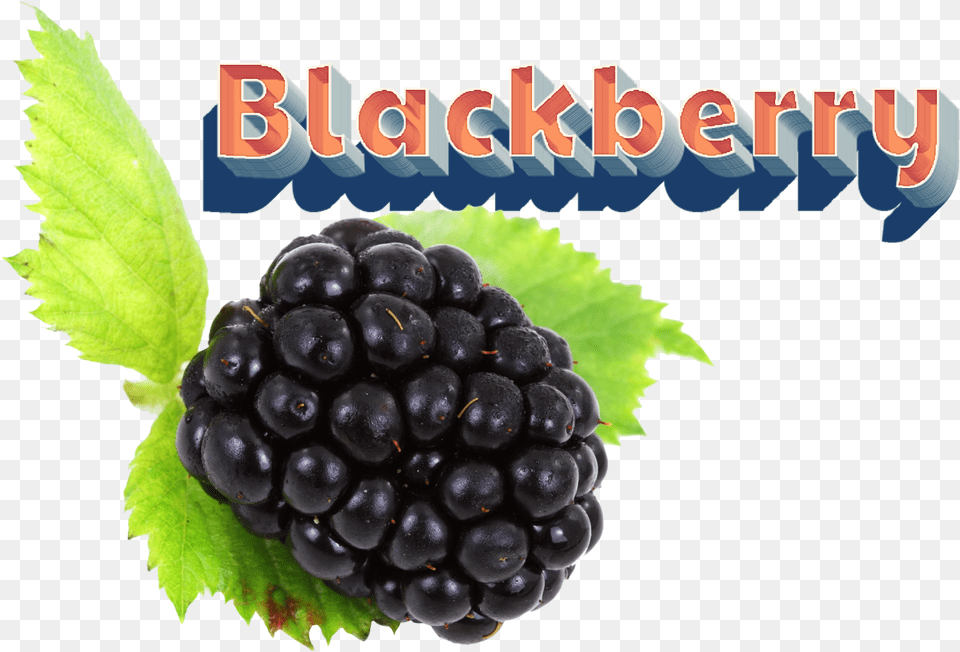 Blackberry Download, Berry, Food, Fruit, Plant Free Png