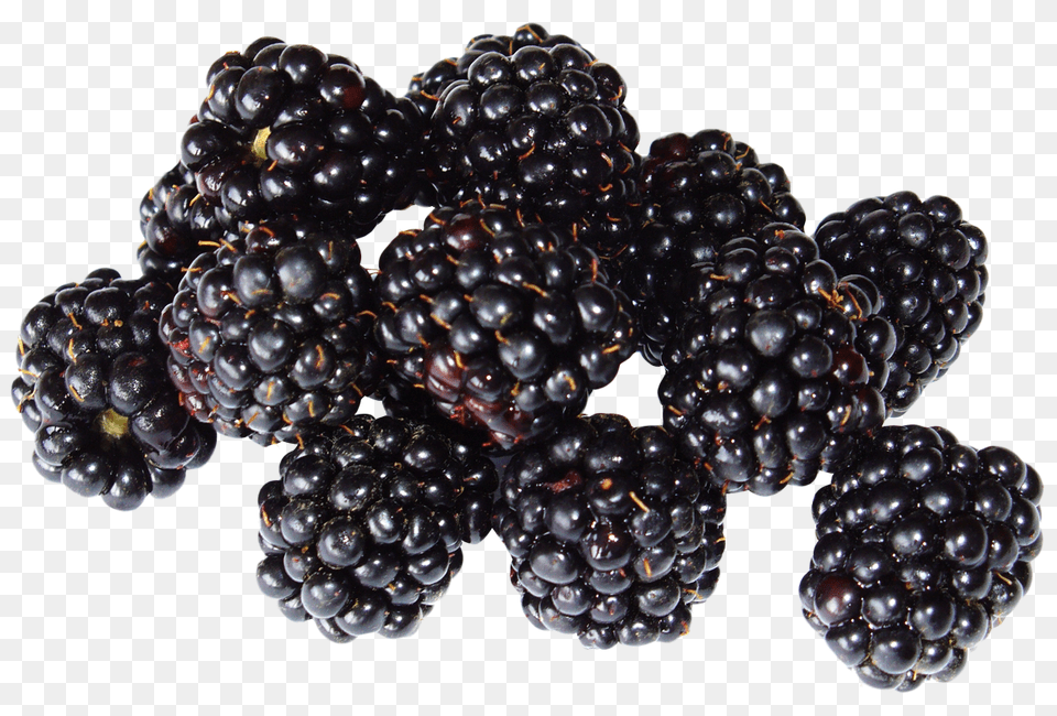 Blackberry Fruit Image, Berry, Food, Plant, Produce Png