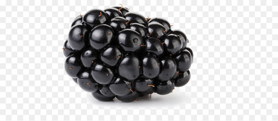 Blackberry Fruit Transparent Blackberry Fruit, Berry, Food, Plant, Produce Free Png Download