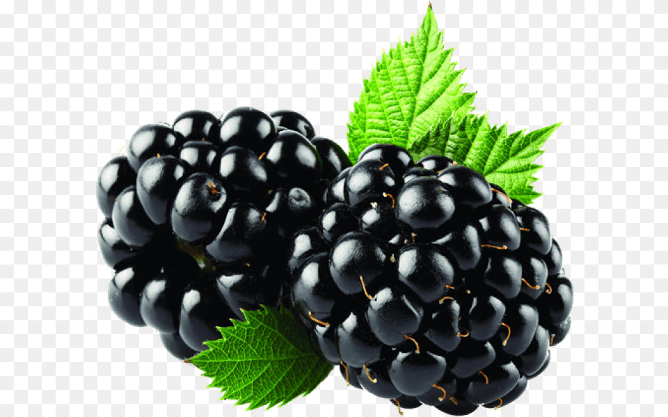 Blackberry Fruit Transparent Image Blackberry Fizz Sticks Arbonne, Produce, Plant, Food, Berry Png