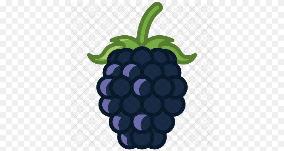 Blackberry Icon Raspberry Fruit Icons, Berry, Food, Plant, Produce Png Image