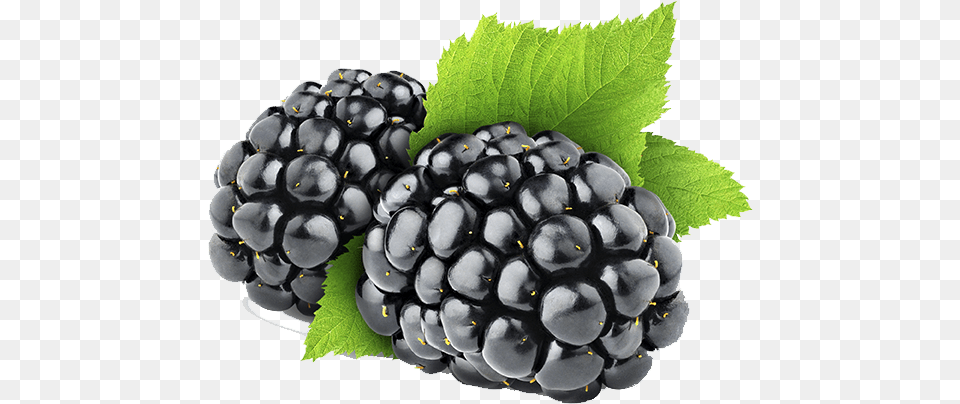 Blackberry Image Black Berry, Food, Fruit, Plant, Produce Png