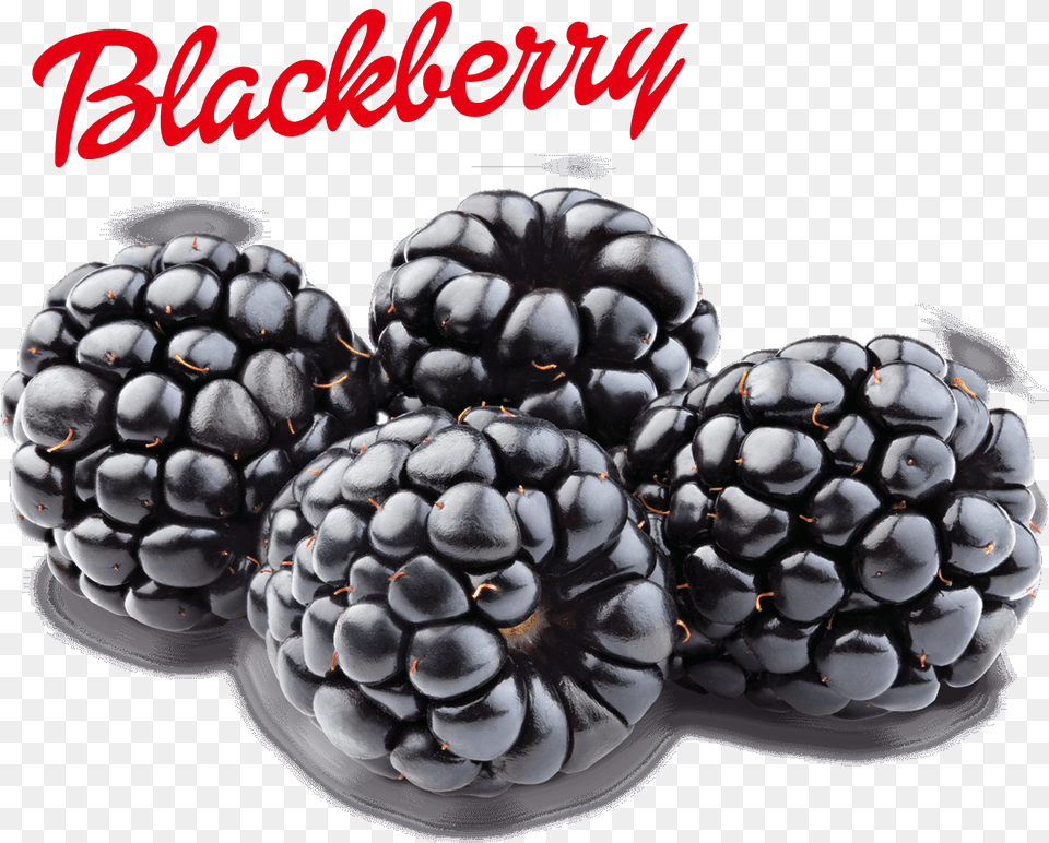 Blackberry Image Blackberry, Berry, Food, Fruit, Plant Png