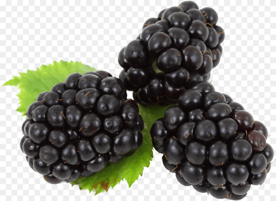 Blackberry Image Blackberry Fruit, Berry, Food, Plant, Produce Free Png