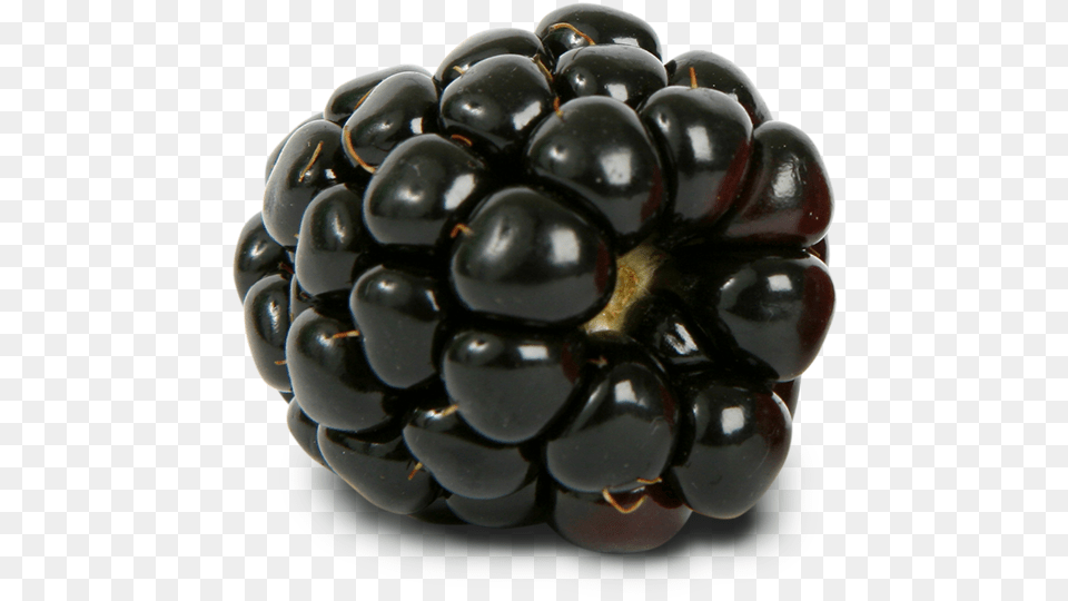 Blackberry Images Blackberry, Berry, Food, Fruit, Plant Free Png Download