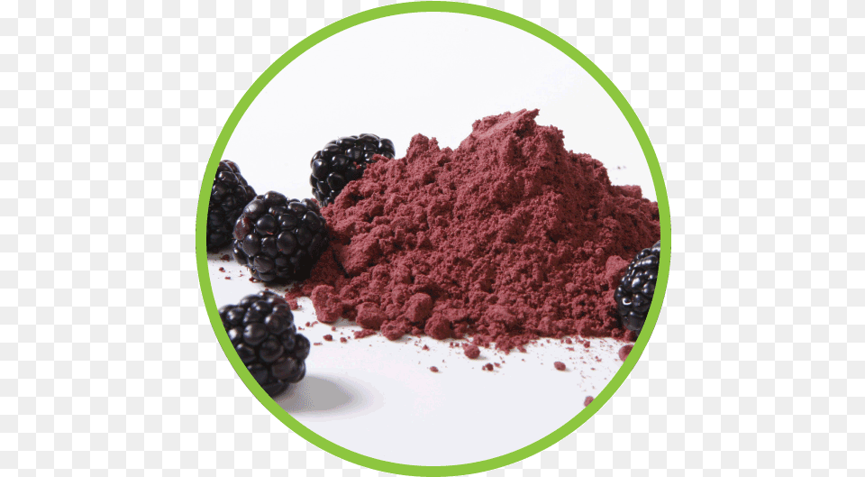 Blackberry Powder Circle Powder Fruits, Berry, Plant, Fruit, Food Free Png Download
