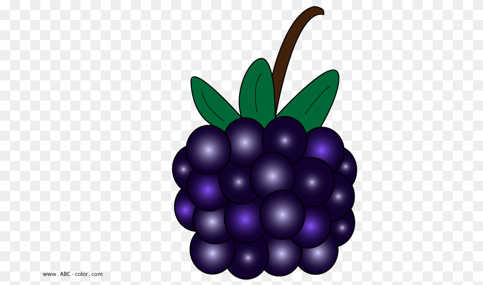 Blackberry Raster Picturet, Food, Fruit, Grapes, Plant Free Png Download