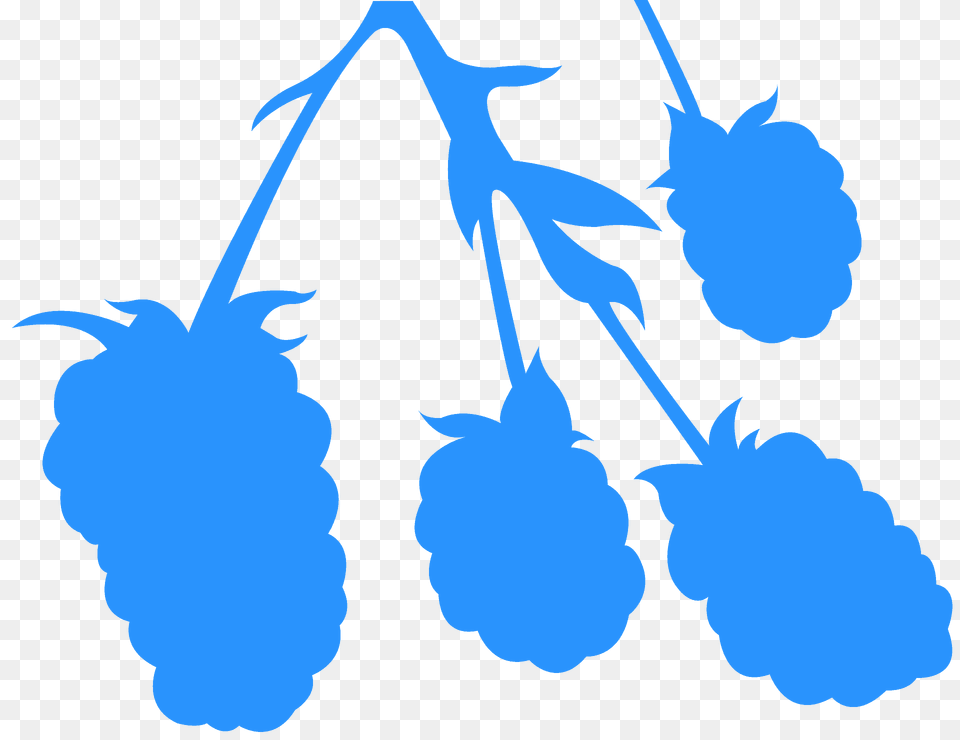 Blackberry Silhouette, Berry, Food, Fruit, Plant Free Transparent Png