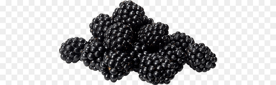 Blackberry Transparent Image Blackberry, Berry, Chandelier, Food, Fruit Png