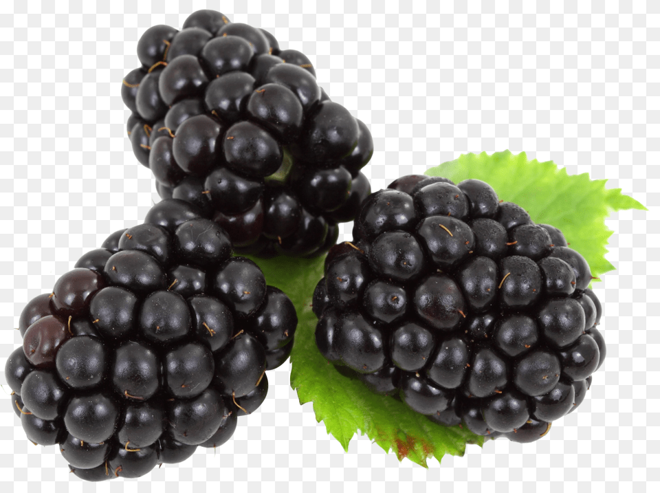 Blackberry With Leaves 2, Berry, Food, Fruit, Plant Png Image