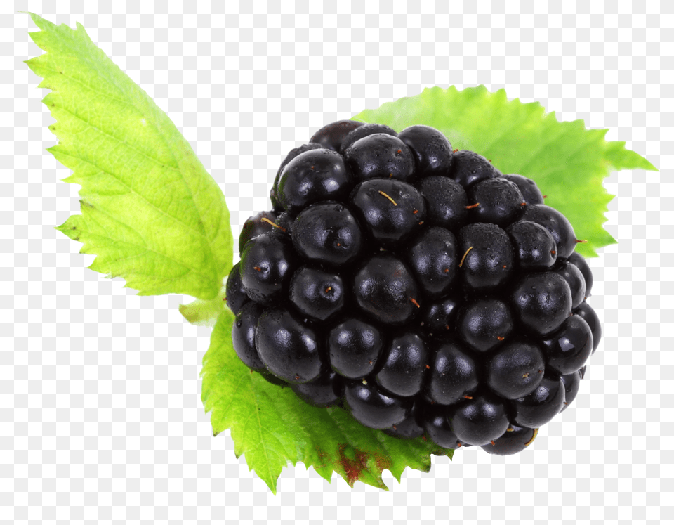 Blackberry With Leaves Image, Berry, Food, Fruit, Plant Free Png Download