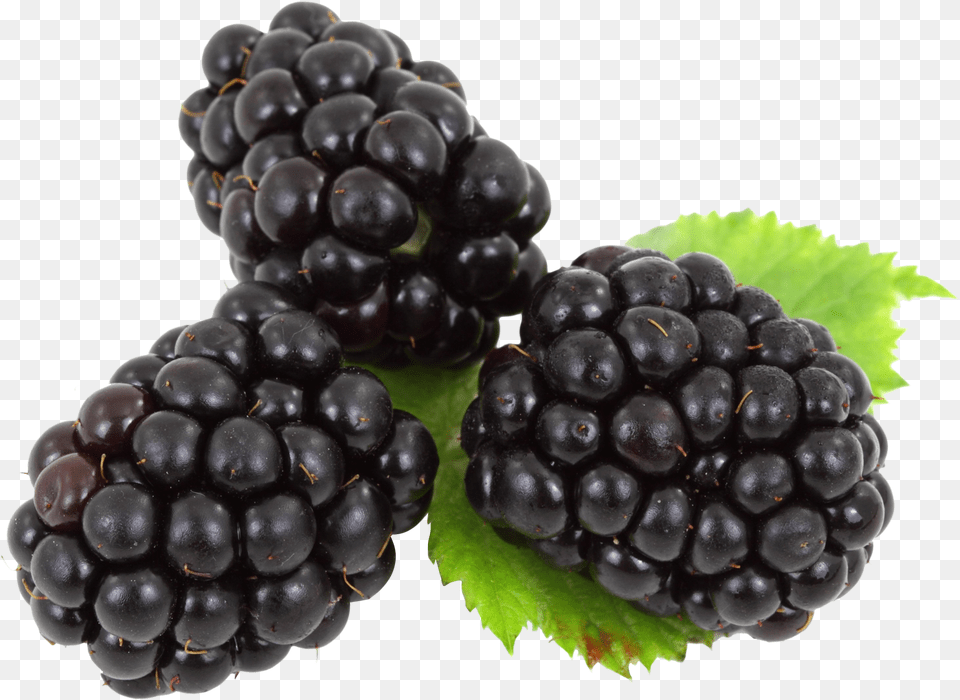 Blackberry With Leaves Image For Blackberries, Berry, Food, Fruit, Plant Free Png
