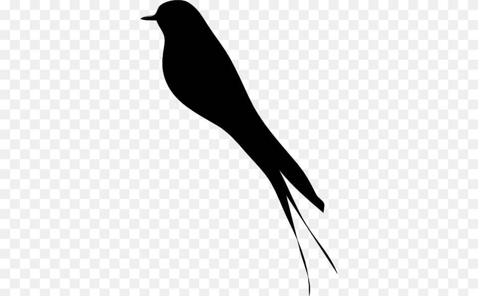 Blackbird Clip Art, Silhouette, Animal, Bird, Swallow Free Png Download