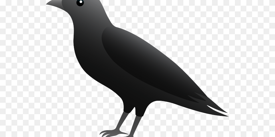 Blackbird Clipart Clip Art, Animal, Bird Free Png Download