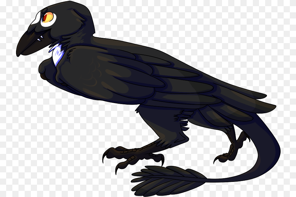 Blackbird Free Download Turkey Vulture, Animal, Bird, Fish, Sea Life Png Image