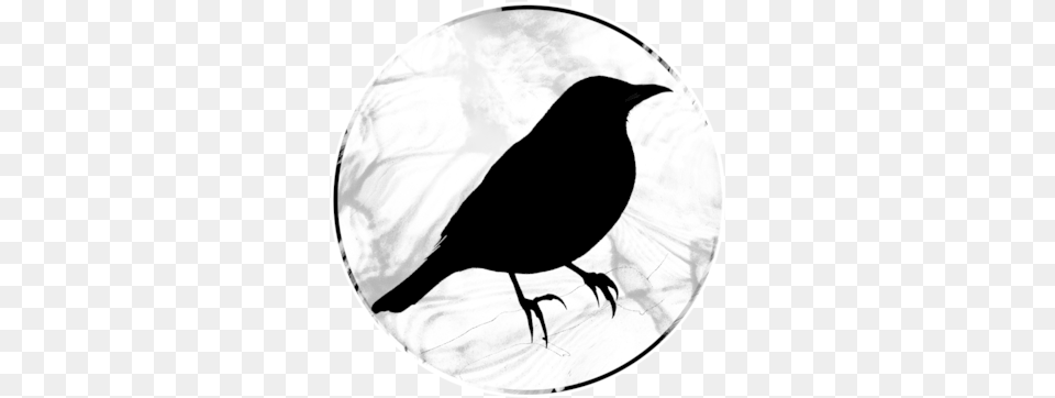 Blackbird Icon Fish Crow, Animal, Bird, Silhouette Free Png Download