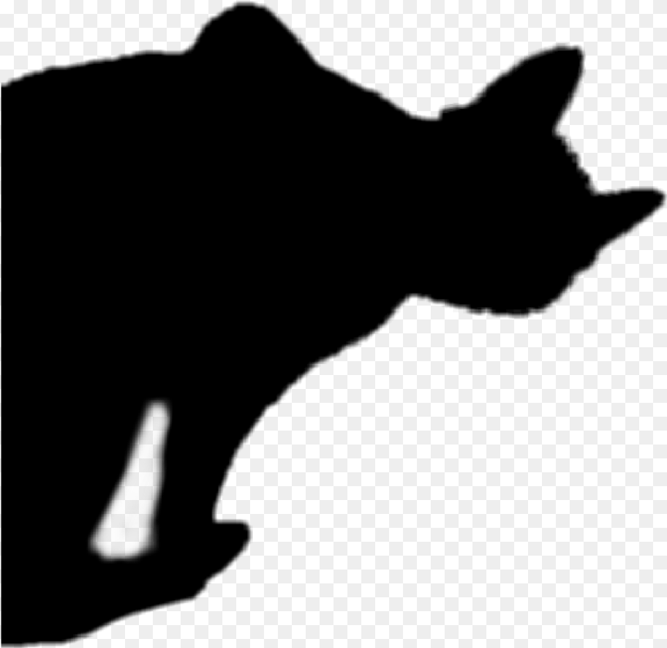 Blackcat Halloween Silhouette Cat Cat Jumps, Gray Png