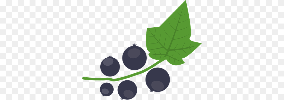 Blackcurrant Berry, Blueberry, Produce, Food Free Png Download