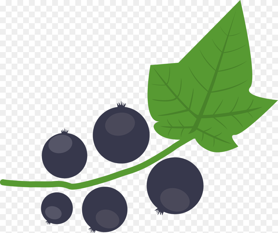 Blackcurrant Clipart, Berry, Blueberry, Produce, Food Png Image