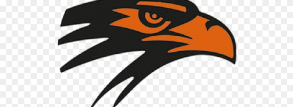Blackhawks Could Green Light New High School 715newsroomcom Bloomer High School, Animal, Beak, Bird, Eagle Png