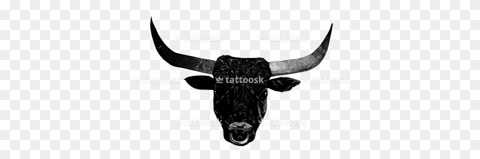 Blackmonochrome Dotwork Bull Head Https Black Bull Head Tattoo, Animal, Mammal, Longhorn, Cattle Png Image
