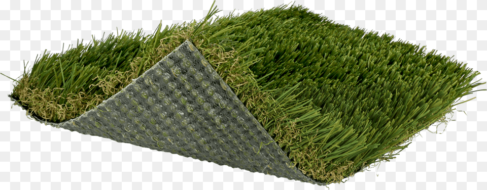 Blade Of Grass, Vase, Pottery, Potted Plant, Planter Free Png