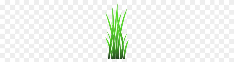 Blade Transparent Or To Download, Aquatic, Grass, Green, Plant Png Image